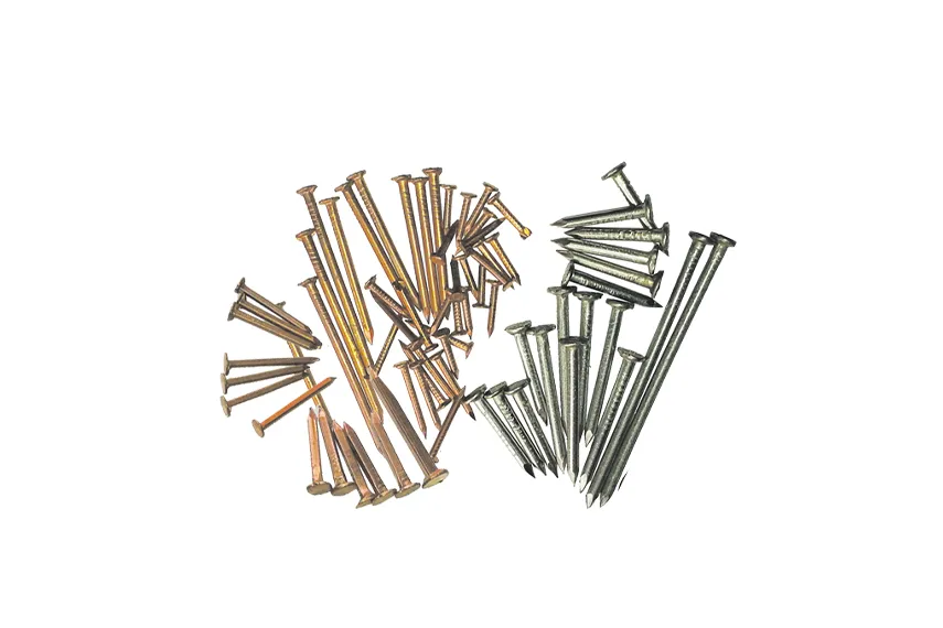 SS Copper Wire Nails